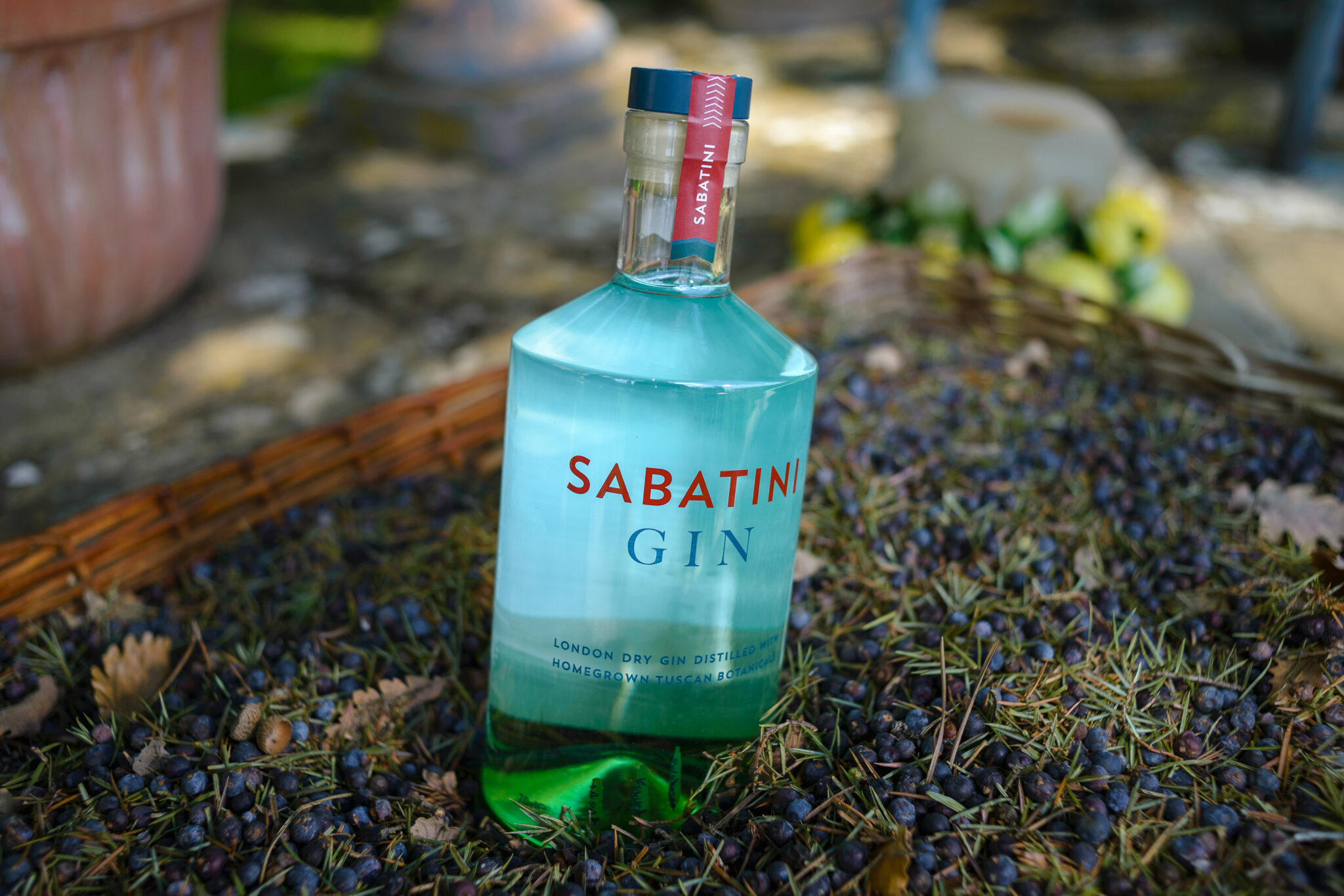 Sabatini Gin Cocktails