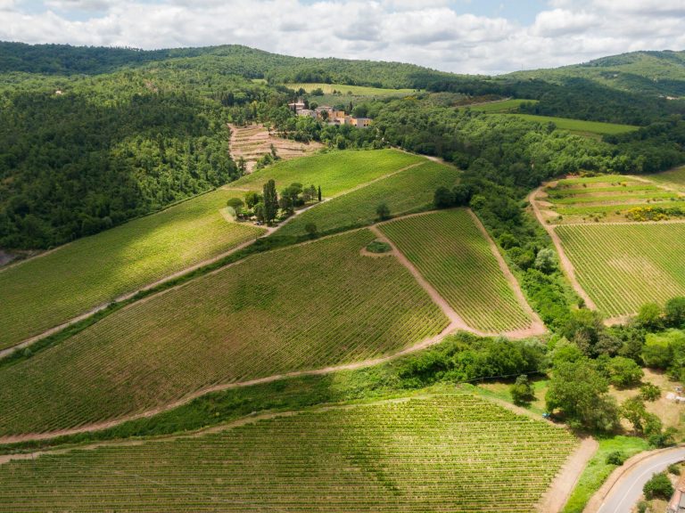 Castello di Querceto: alla scoperta del territorio del Chianti Classico