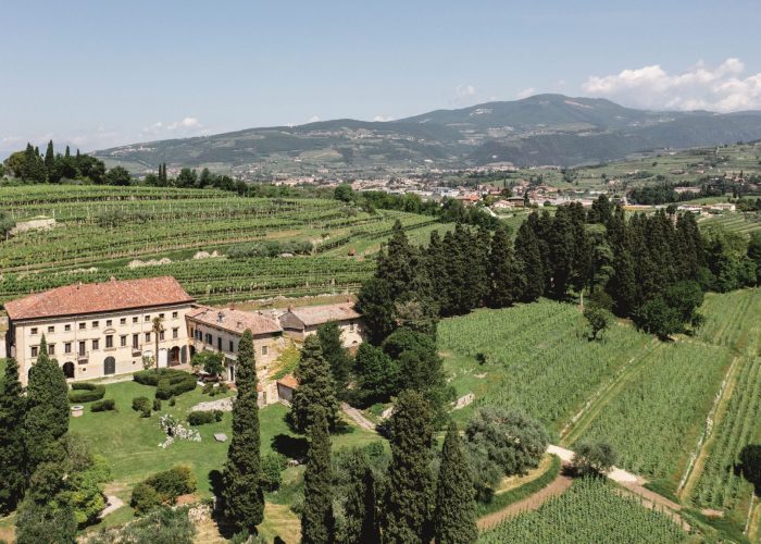 Tenuta Villa Bellini presenta la nuova gamma di vini pregiati