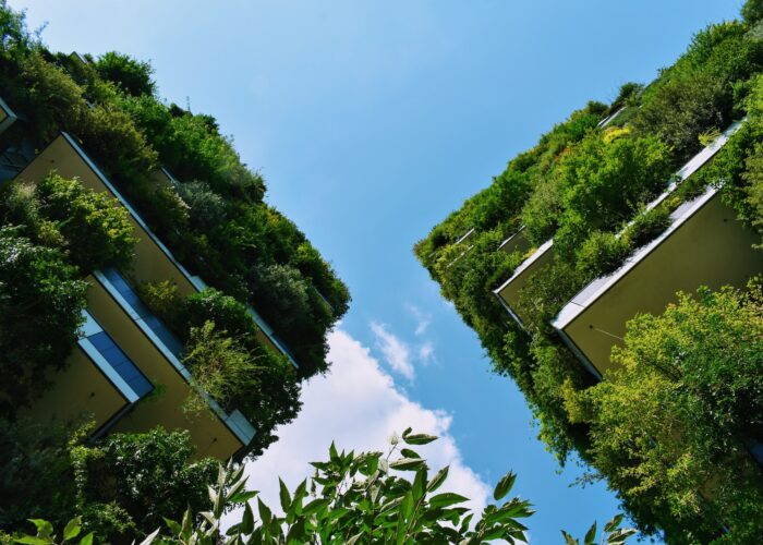Professione green designer: i creativi ecosostenibili