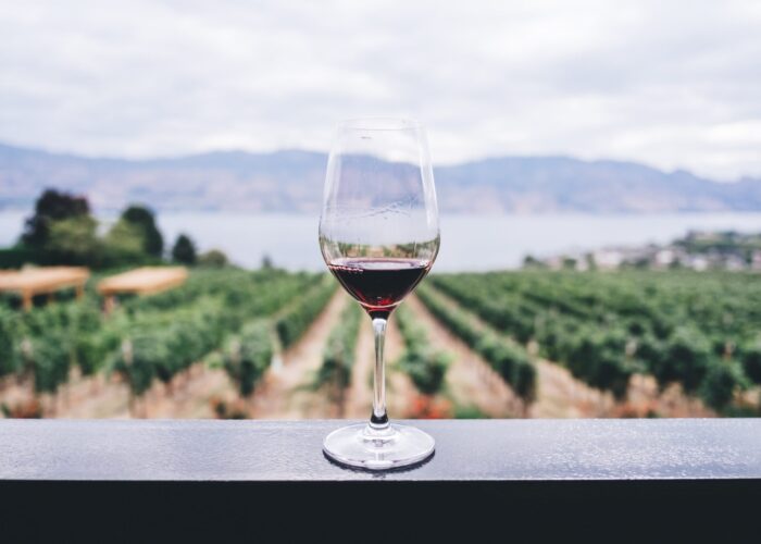 Il fascino del vino rosso: come trovare il vino perfetto per ogni occasione
