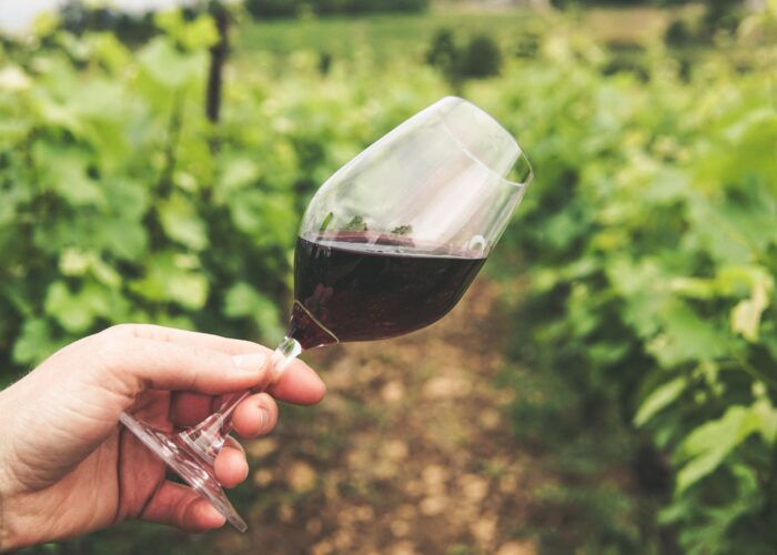 Bere bene, ma al giusto prezzo: ecco i migliori vini italiani sotto ai 20 euro